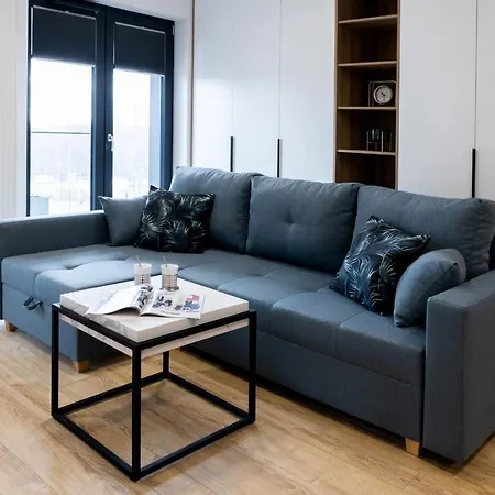 Apartment Downtown ,next To Spodek-free Parking Katowice