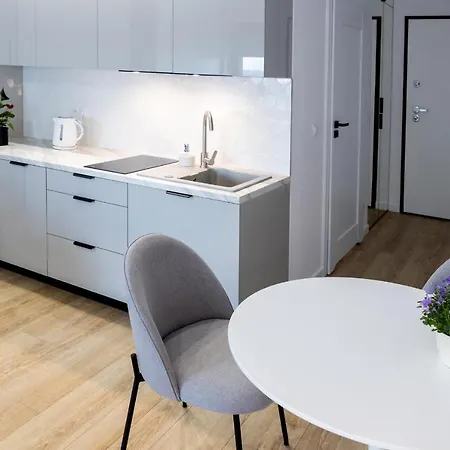 Downtown ,next To Spodek-free Parking Appartamento Katowice