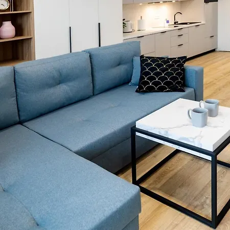 Downtown ,next To Spodek-free Parking Katowice