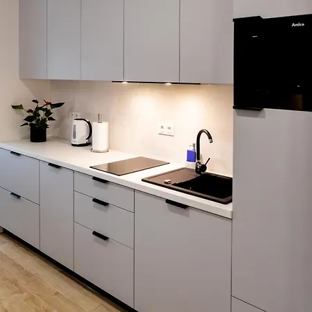 Downtown ,next To Spodek-free Parking *