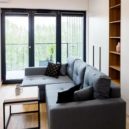 Apartment Downtown ,next To Spodek-free Parking