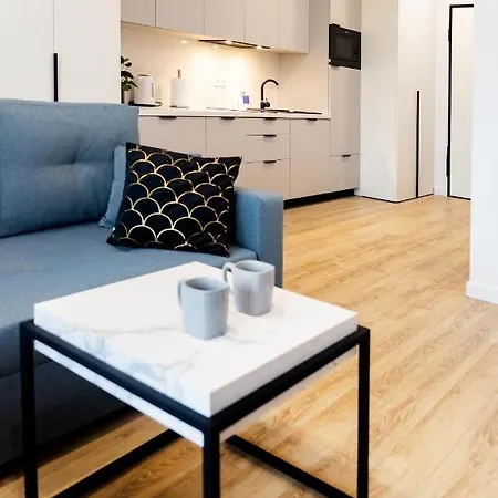 Downtown ,next To Spodek-free Parking *