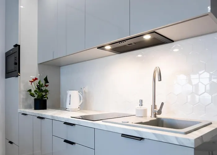 Lägenhet Downtown ,next To Spodek-free Parking Katowice