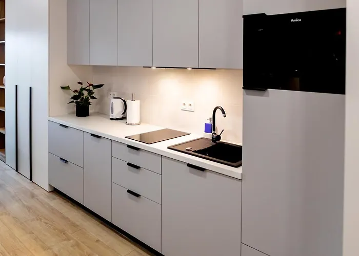 Downtown ,next To Spodek-free Parking *