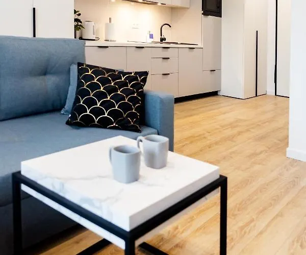 Downtown ,next To Spodek-free Parking *